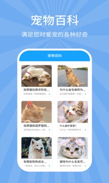 狗猫翻译器软件截图2