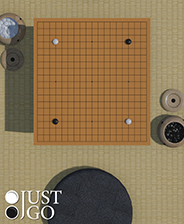 棋弈无限：围棋