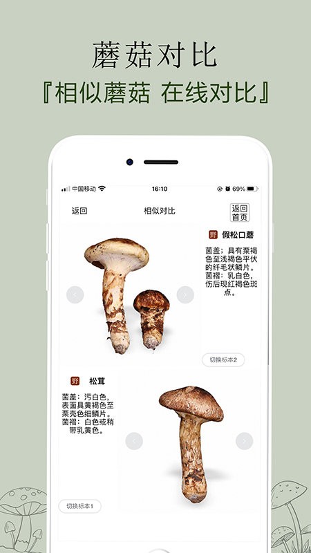 菌窝子软件软件截图2