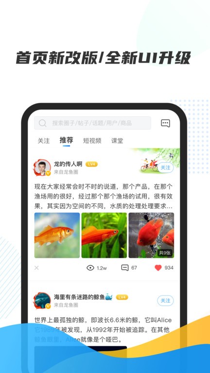 龙巅水族论坛软件截图2