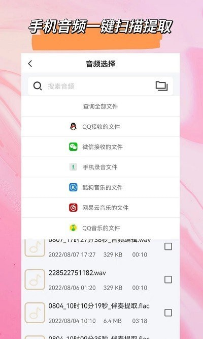 音频格式大师软件截图2