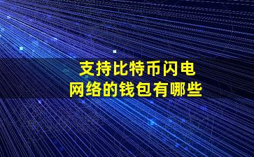 支持比特币闪电网络的钱包有哪些