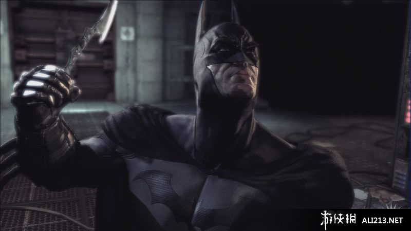 蝙蝠侠：阿甘疯人院（Batman: Arkham Asylum）v1.1五项修改器下载