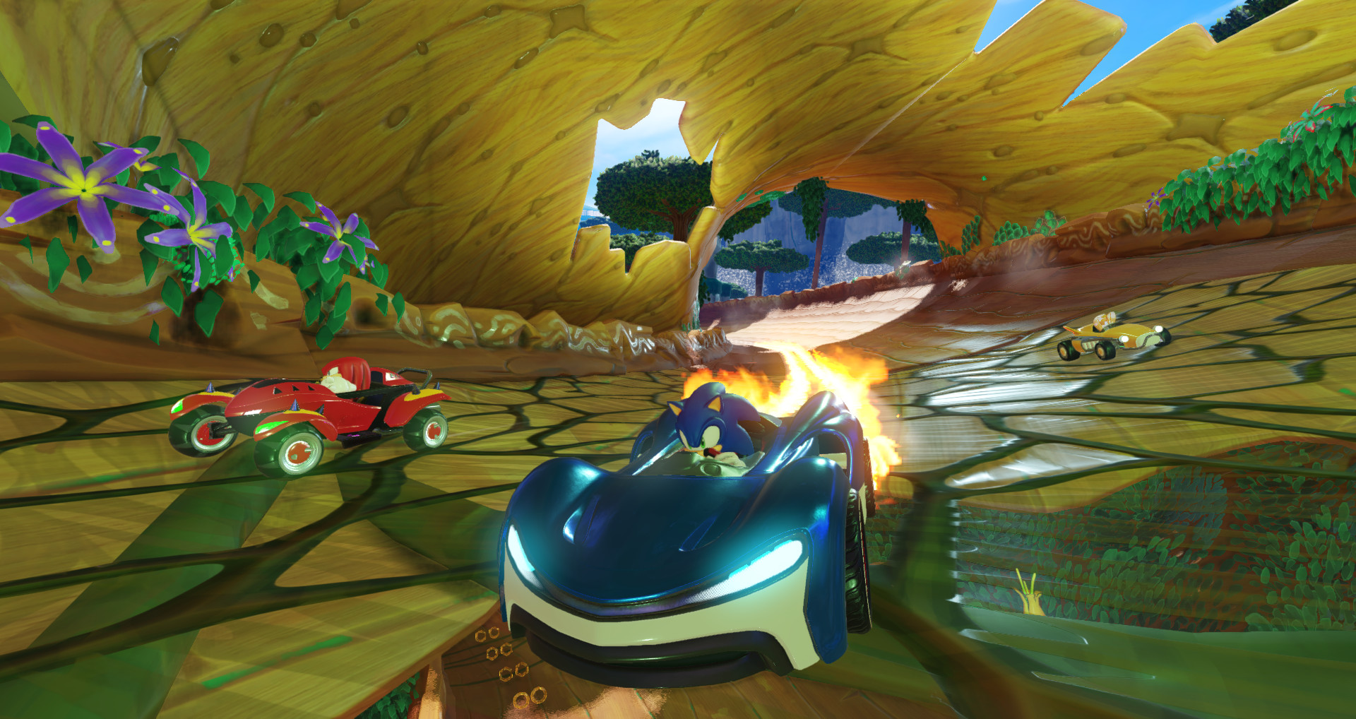 组队索尼克赛车（Team Sonic Racing ）v1.0三项修改器风灵月影版下载