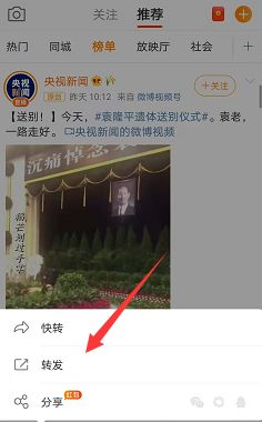 微博名后的小稻穗怎么弄？微博名小稻穗添加方法[多图]图片2