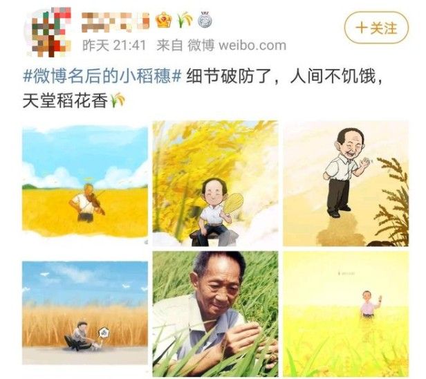 微博名后的小稻穗怎么设置？微博名后的小稻穗图标设置教程[多图]图片1