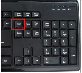 insert键在哪里？键盘上找不到insert键