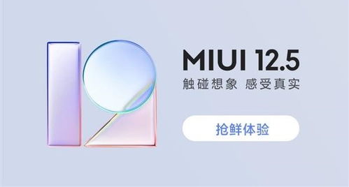 miui开发版公测更新频率如何？(小米稳定版内测更新频率答案)