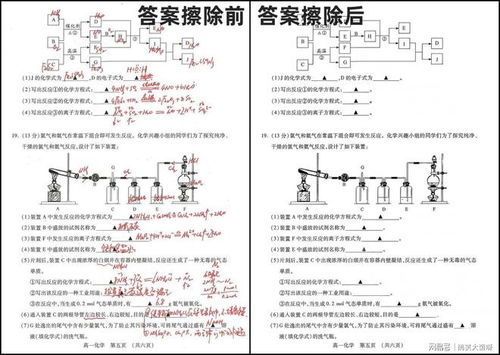 哪个软件能找到整套试卷内容(什么软件可以搜索试卷全部答案)