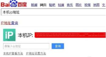 怎么用命令查看ip