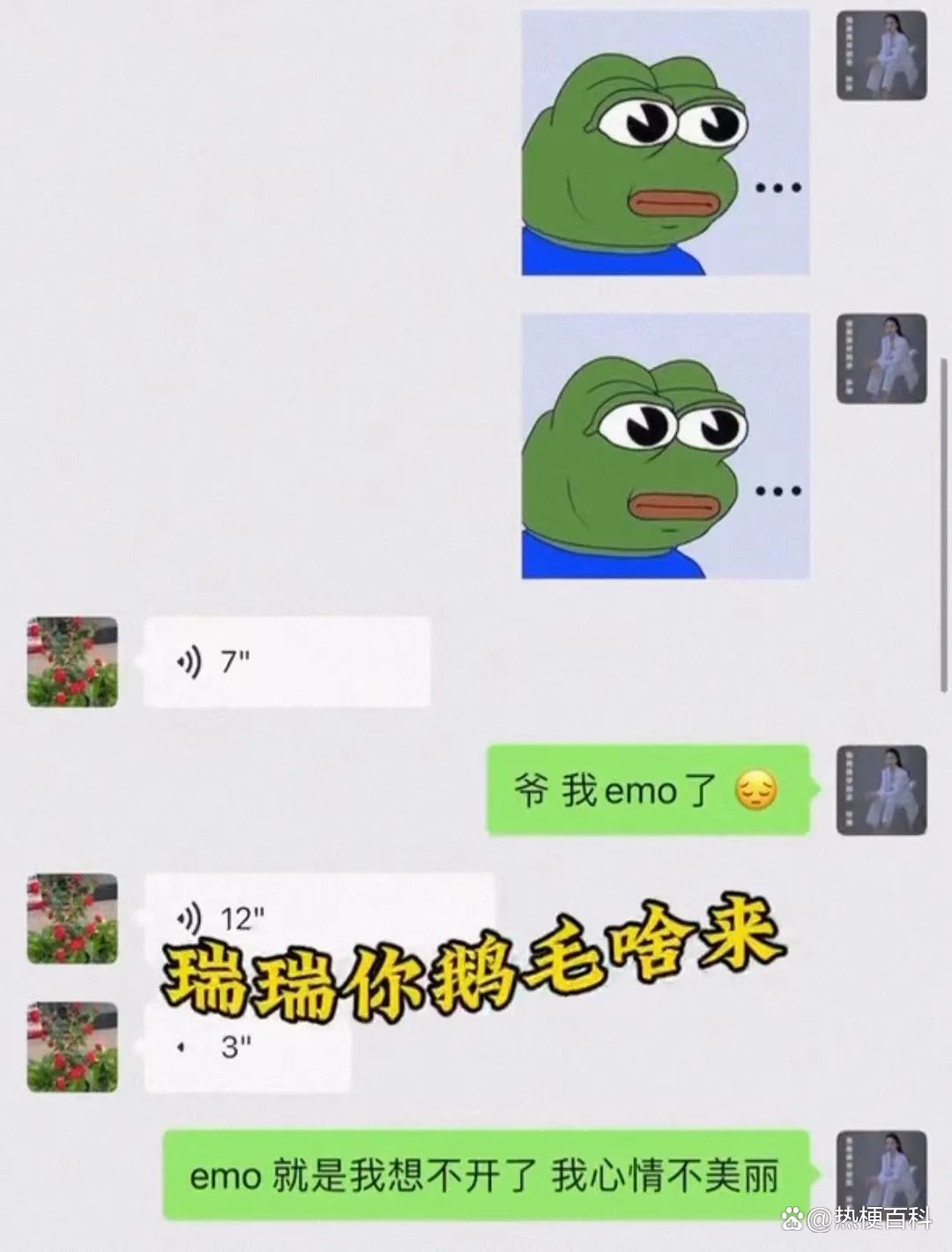 抖音我鹅毛了是什么梗 抖音鹅毛了梗意思介绍