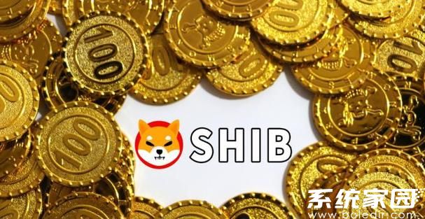 shib币怎么挖矿?shib币挖矿教程详细