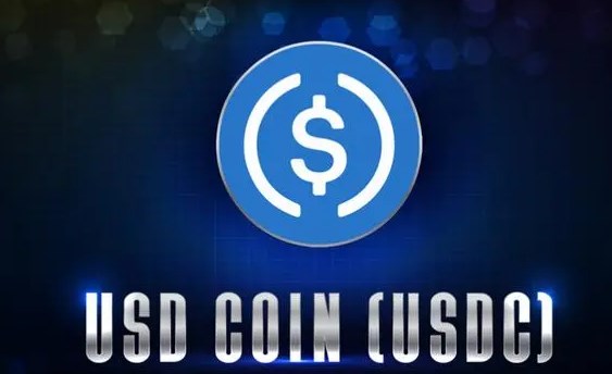 usdt usdc usd属于什么币种