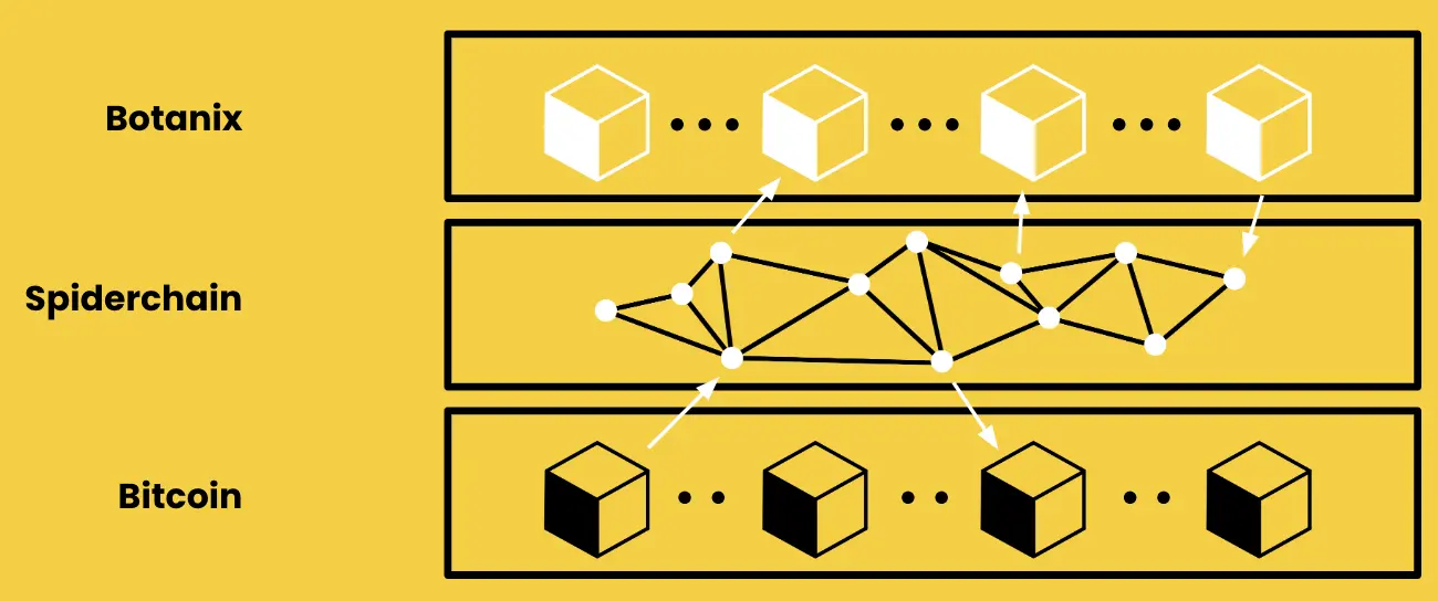 解读 Botanix：网络资产管理去中心化的 BTC L2（附交互教程）