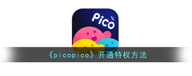 《picopico》开通特权方法