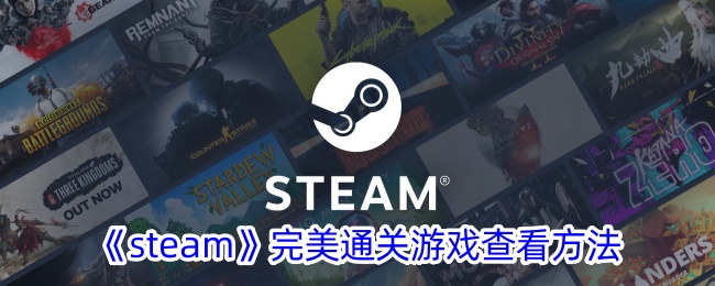 《steam》完美通关游戏查看方法