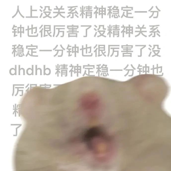 鼠鼠我呀表情包大全