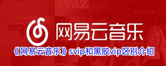 《网易云音乐》svip和黑胶vip区别介绍