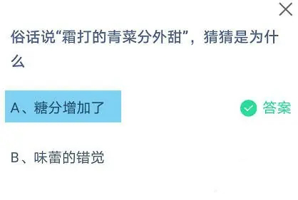 俗话说霜打的青菜分外甜猜猜是为什么 蚂蚁庄园今日正确答案10月24日