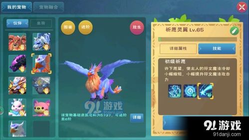 创造与魔法祈愿灵翼怎么稳6