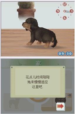 任天狗-腊肠犬和它的朋友截图