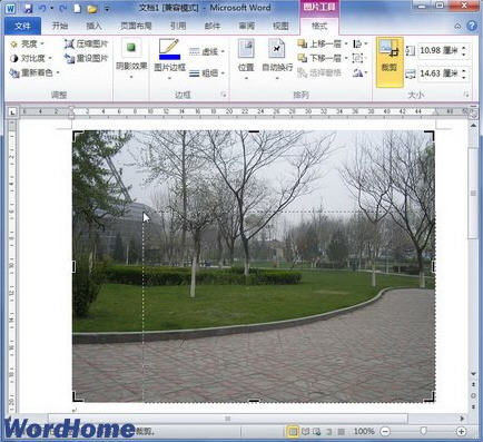 word2010中如何裁剪图片