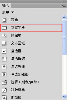 Dreamweaver表单中插入文本框