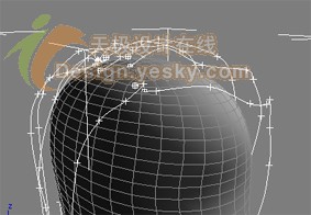 3DsMAX7.5毛发新功能实例：曲线定制发型