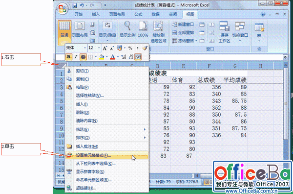 Excel 2007工作表的保护