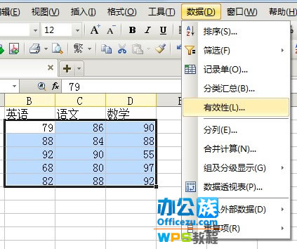 WPS表格输入错误提示设置，确保数据准确性