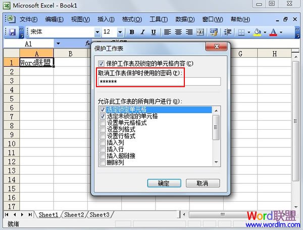 Excel 2003单元格保护设置