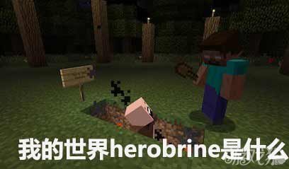 《我的世界》herobrine是什么