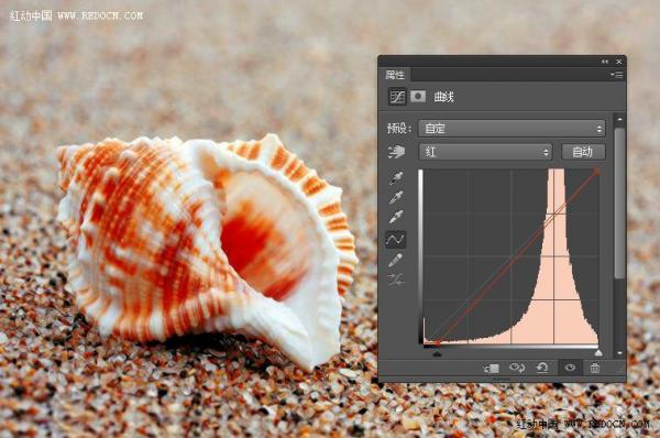用Photoshop调色诗意的沙滩贝壳