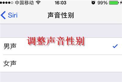 iphone怎么修改siri声音？