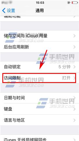 苹果iPhone6S应用商店图标消失了如何解决