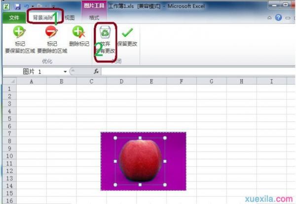 Excel2010技巧:轻松去除图片的背景