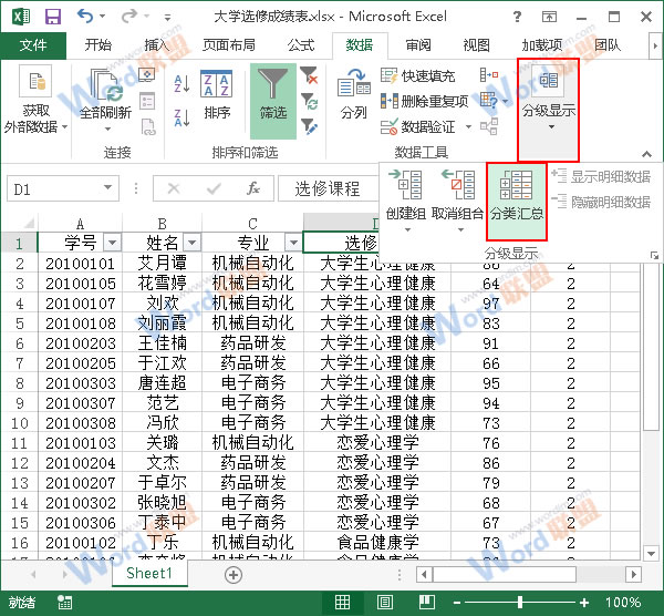 Excel2013中如何使用分类汇总功能？