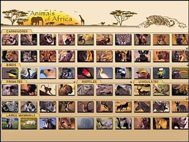 非洲动物拼图(Animals of Africa)截图