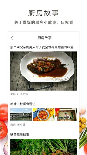 做饭大全电脑版截图