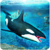 虎鲸模拟器3D