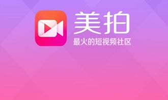 摄影教程app