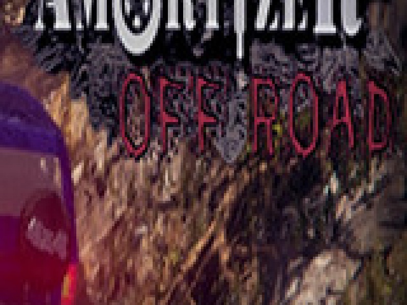 Amortizer Off Road 英文版