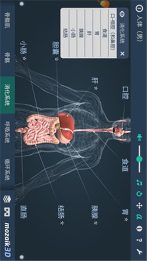 立体全身解剖模拟软件截图1