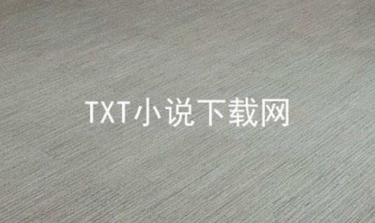 TXT小说下载网