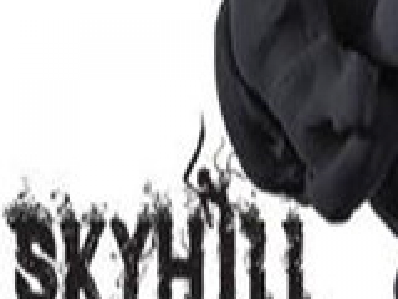 SKYHILL：黑雾 中文版