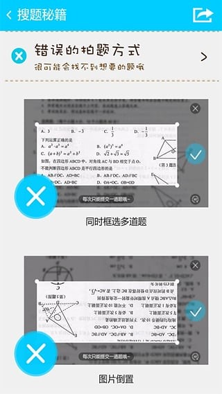 帮你搜作业作文软件截图3