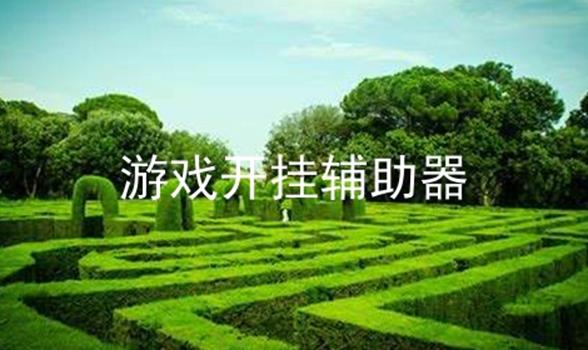 游戏开挂辅助器