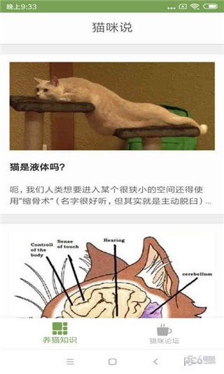 猫咪生活圈软件截图1