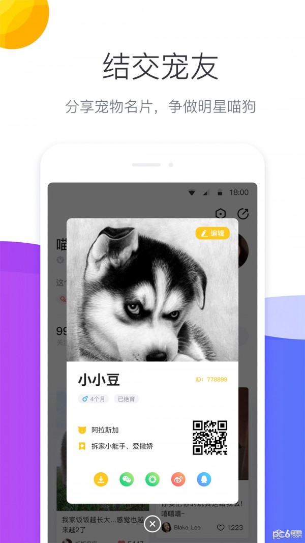 宠优优软件截图3