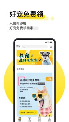 共宠软件截图0